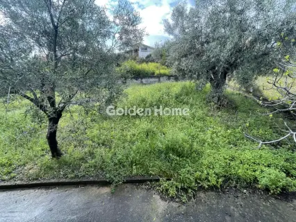 Μονοκατοικία 172τ.μ. προς πώληση φωτογραφία 14