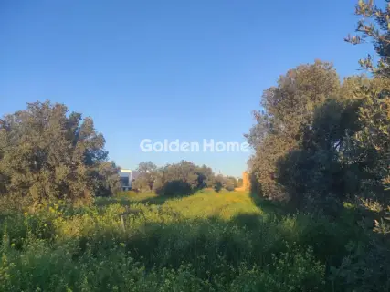 Residential 7198m<sup>2</sup> for sale photo 5375388