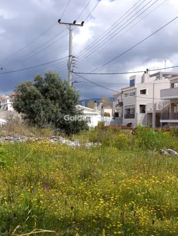 住宅 288m<sup>2</sup> for sale photo 5375751