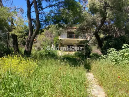 Residential 1020m<sup>2</sup> for sale photo 5377414