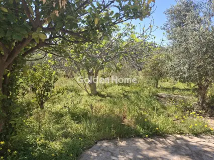 Οικιστικό 668τ.μ. προς πώληση φωτογραφία 5376491