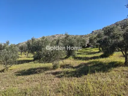 Αγροτεμάχιο 4072τ.μ. προς πώληση φωτογραφία 1