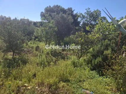 Αγροτεμάχιο 4072τ.μ. προς πώληση φωτογραφία 6