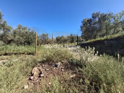 Αγροτεμάχιο 4072τ.μ. προς πώληση φωτογραφία 7