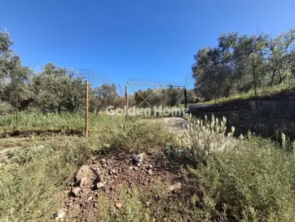 Αγροτεμάχιο 4072τ.μ. προς πώληση φωτογραφία 4