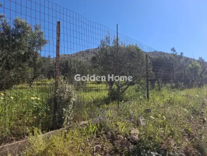 Αγροτεμάχιο 4072τ.μ. προς πώληση φωτογραφία 9