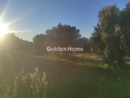 Residential 3600m<sup>2</sup> for sale photo 2