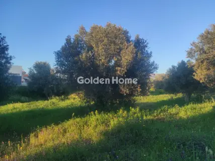 Residential 3600m<sup>2</sup> for sale photo 3