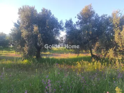 Residential 3600m<sup>2</sup> for sale photo 5