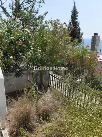 Μονοκατοικία 100τ.μ. προς πώληση φωτογραφία 15