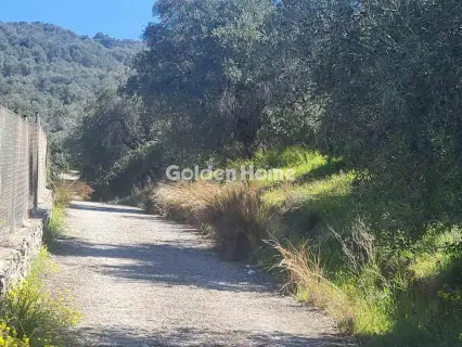 Residential 4388m<sup>2</sup> for sale photo 5372754