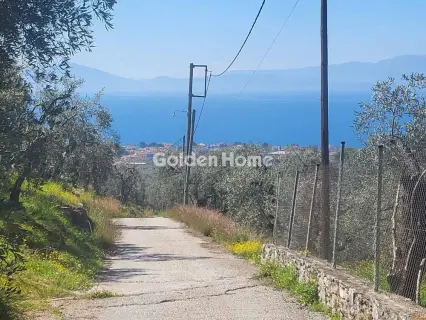 Residential 4388m<sup>2</sup> for sale photo 5372748