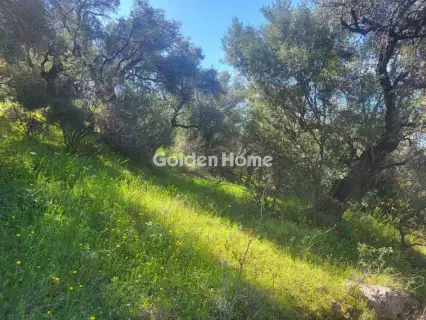 Residential 4388m<sup>2</sup> for sale photo 5372753