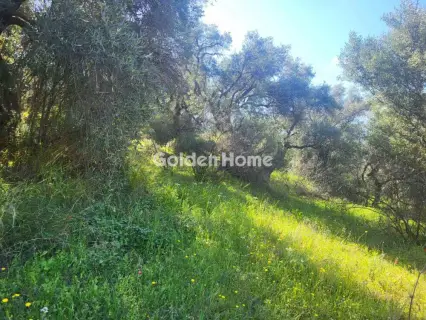 Residential 4388m<sup>2</sup> for sale photo 5372752