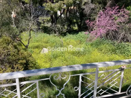 Μονοκατοικία 170τ.μ. προς πώληση φωτογραφία 43