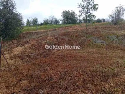 Οικιστικό 1584τ.μ. προς πώληση φωτογραφία 5376479