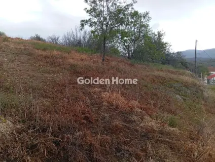 Οικιστικό 1584τ.μ. προς πώληση φωτογραφία 5376478