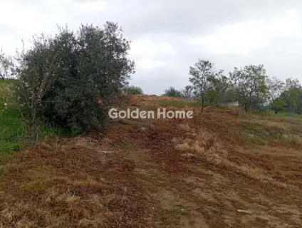 Οικιστικό 1584τ.μ. προς πώληση φωτογραφία 5376480