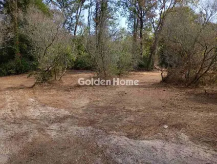 Οικιστικό 4120τ.μ. προς πώληση φωτογραφία 2