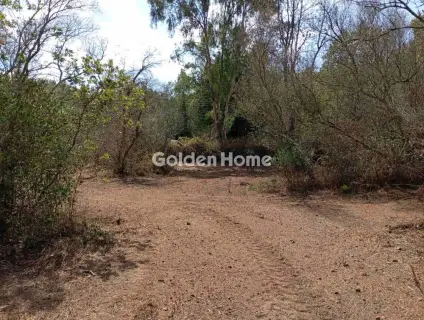 Οικιστικό 4120τ.μ. προς πώληση φωτογραφία 3