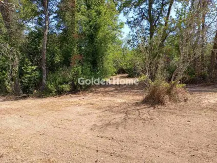 Οικιστικό 4120τ.μ. προς πώληση φωτογραφία 4