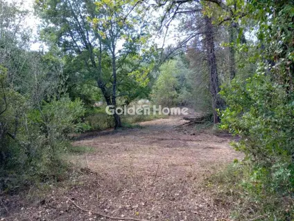 Οικιστικό 4120τ.μ. προς πώληση φωτογραφία 11