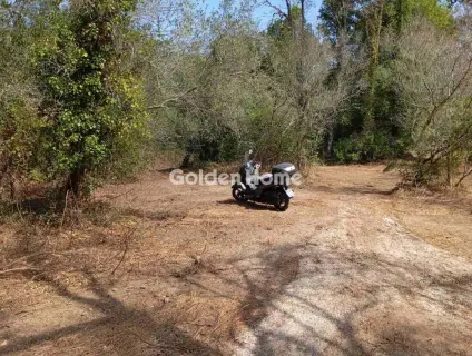 Οικιστικό 4120τ.μ. προς πώληση φωτογραφία 9