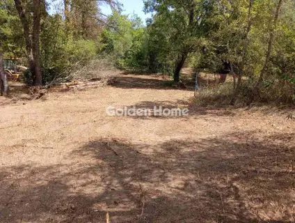 Οικιστικό 4120τ.μ. προς πώληση φωτογραφία 7