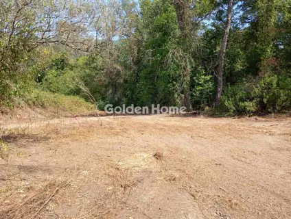 Οικιστικό 4120τ.μ. προς πώληση φωτογραφία 8