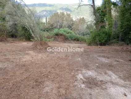 Οικιστικό 4120τ.μ. προς πώληση φωτογραφία 10