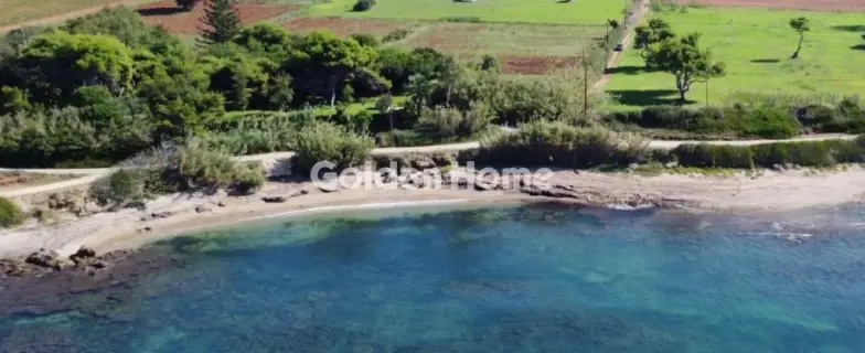 Οικιστικό 11326τ.μ. προς πώληση φωτογραφία 6