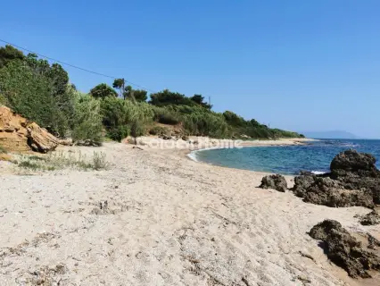 Οικιστικό 11326τ.μ. προς πώληση φωτογραφία 4