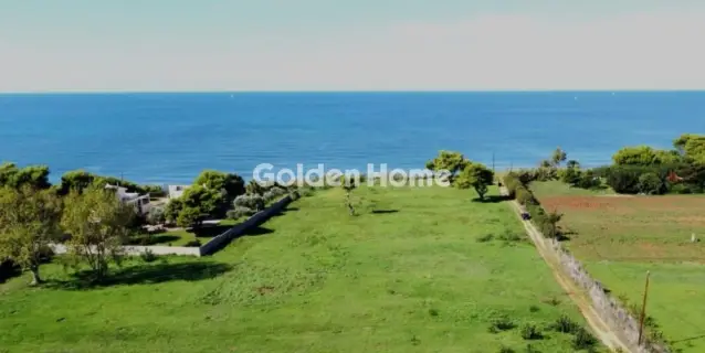 Οικιστικό 11326τ.μ. προς πώληση φωτογραφία 3