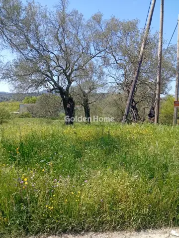 Αγροτεμάχιο 4134τ.μ. προς πώληση φωτογραφία 5376266