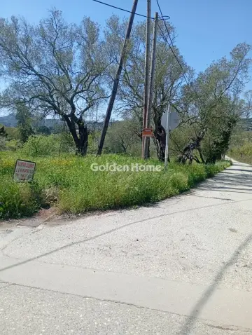 Αγροτεμάχιο 4134τ.μ. προς πώληση φωτογραφία 5376267