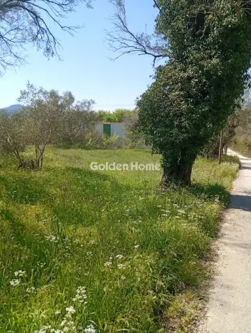 Αγροτεμάχιο 4134τ.μ. προς πώληση φωτογραφία 5376270