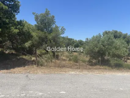 Αγροτεμάχιο 989τ.μ. προς πώληση φωτογραφία 5479687