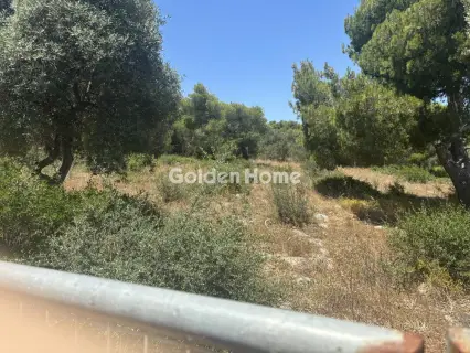 Αγροτεμάχιο 989τ.μ. προς πώληση φωτογραφία 5479699