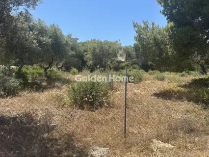 Αγροτεμάχιο 989τ.μ. προς πώληση φωτογραφία 5479700