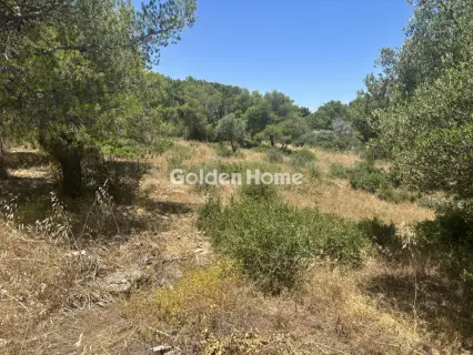 Αγροτεμάχιο 989τ.μ. προς πώληση φωτογραφία 5479702