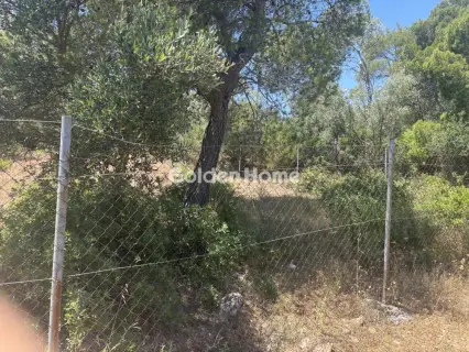 Αγροτεμάχιο 989τ.μ. προς πώληση φωτογραφία 5479701