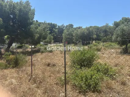 Αγροτεμάχιο 989τ.μ. προς πώληση φωτογραφία 5479703
