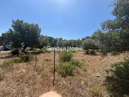 Αγροτεμάχιο 989τ.μ. προς πώληση φωτογραφία 5479704
