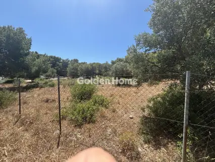 Αγροτεμάχιο 989τ.μ. προς πώληση φωτογραφία 5479705