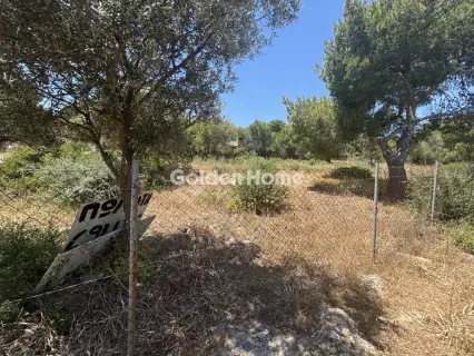 Αγροτεμάχιο 989τ.μ. προς πώληση φωτογραφία 5479706