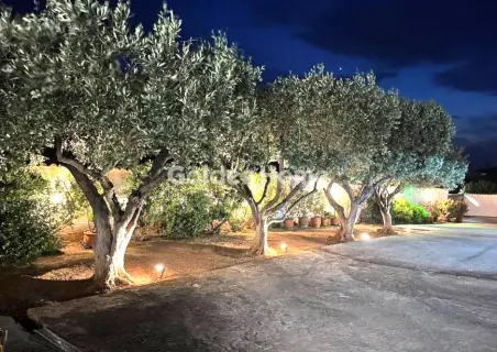 Μονοκατοικία 388τ.μ. προς πώληση φωτογραφία 24