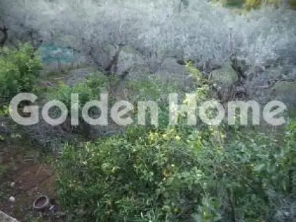 Μονοκατοικία 94τ.μ. προς πώληση φωτογραφία 5377542