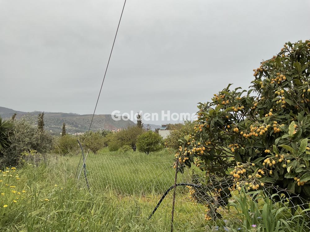 Οικιστικό 487τ.μ. προς πώληση φωτογραφία προβολής