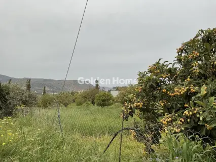 Οικιστικό 1219τ.μ. προς πώληση φωτογραφία 5377842