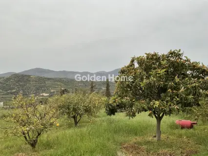 Οικιστικό 1219τ.μ. προς πώληση φωτογραφία 5377847